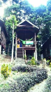 10406419_10153646748979152_6385362087657185605_n