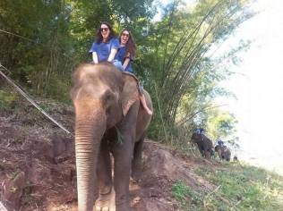 10570319_10153637558924152_4113715762782096870_n (1)