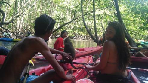 Our guide, Allison and the monkey who climbed around our kayaks in the Mangrove Jungle