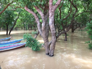 Floating/Flooded Forest.